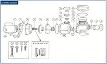 Enduro Pumps Spare Parts
