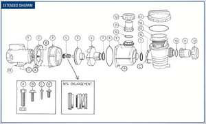 Enduro Pumps Spare Parts